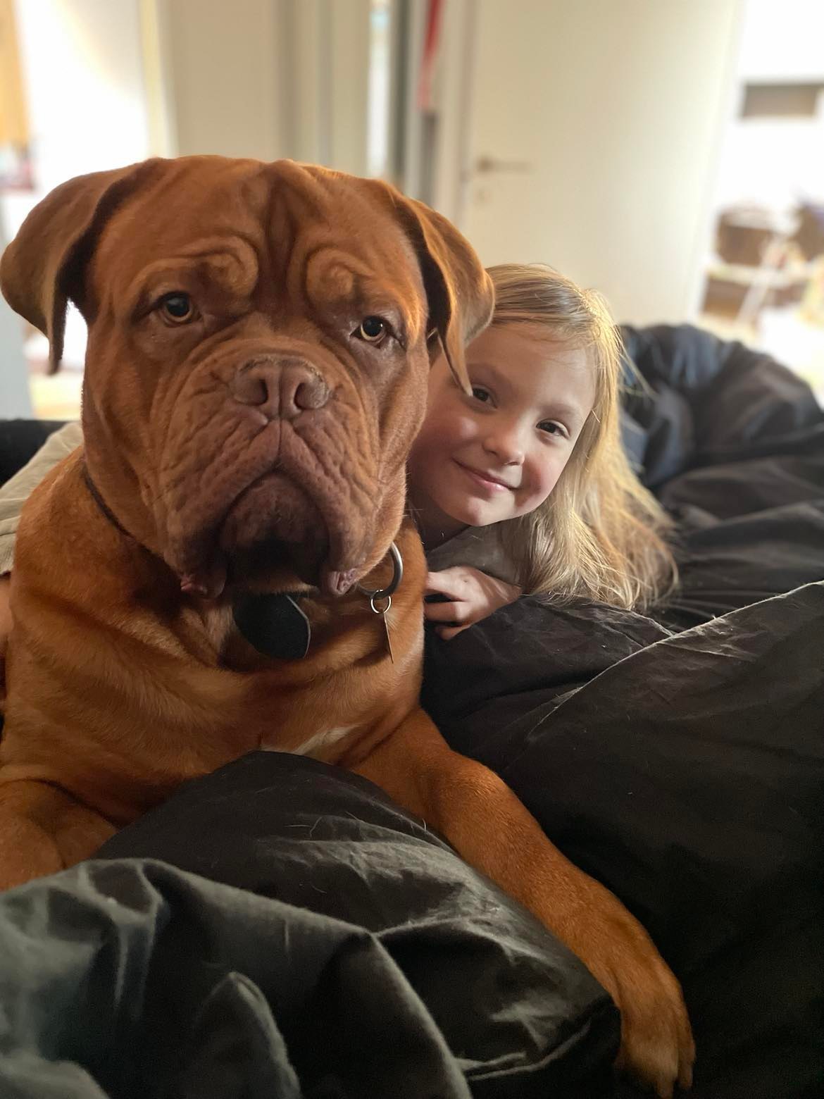 Hunden er ked af det