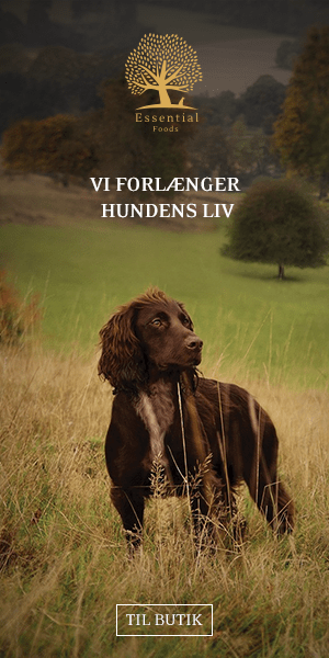 Banner fra Essential Foods