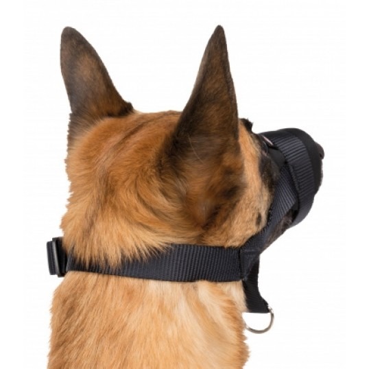når hunden skal bruge mundkurv