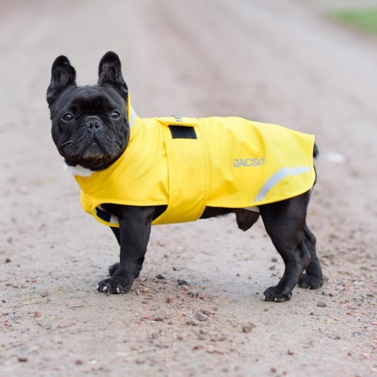 tøj og sko til hunden