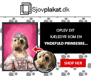 portræt af hunden
