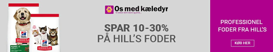 nyt hjem til hunden
